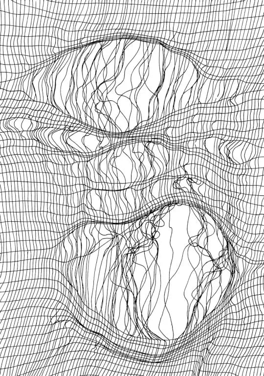 Abstract natural pattern inspired by roots and organic forms — Haus of MX sustainability
